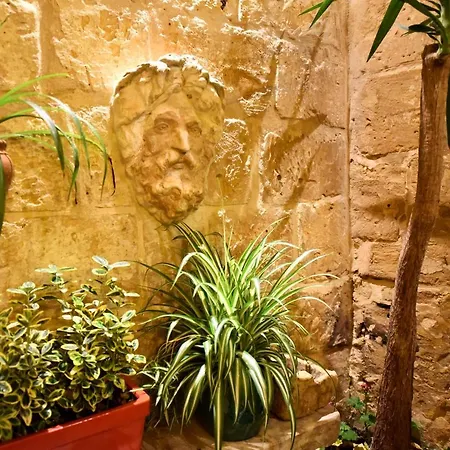 The * Cospicua