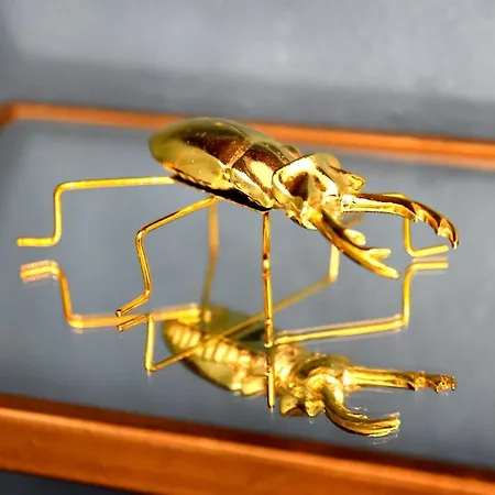 The מלון Cospicua